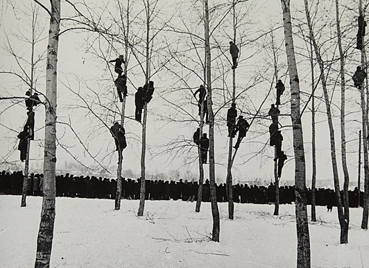 РОСФОТО покажет выставку «О фотографии. Случайность/ сингулярность/ приключение»