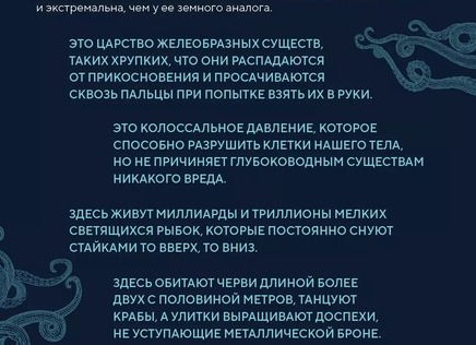 5 фотографий 