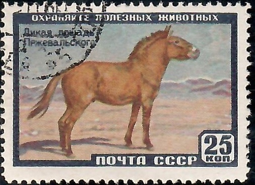25 полезных советов по фотографии!